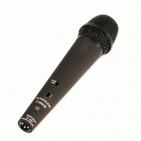 Microfono a condensatore, per voce e canto